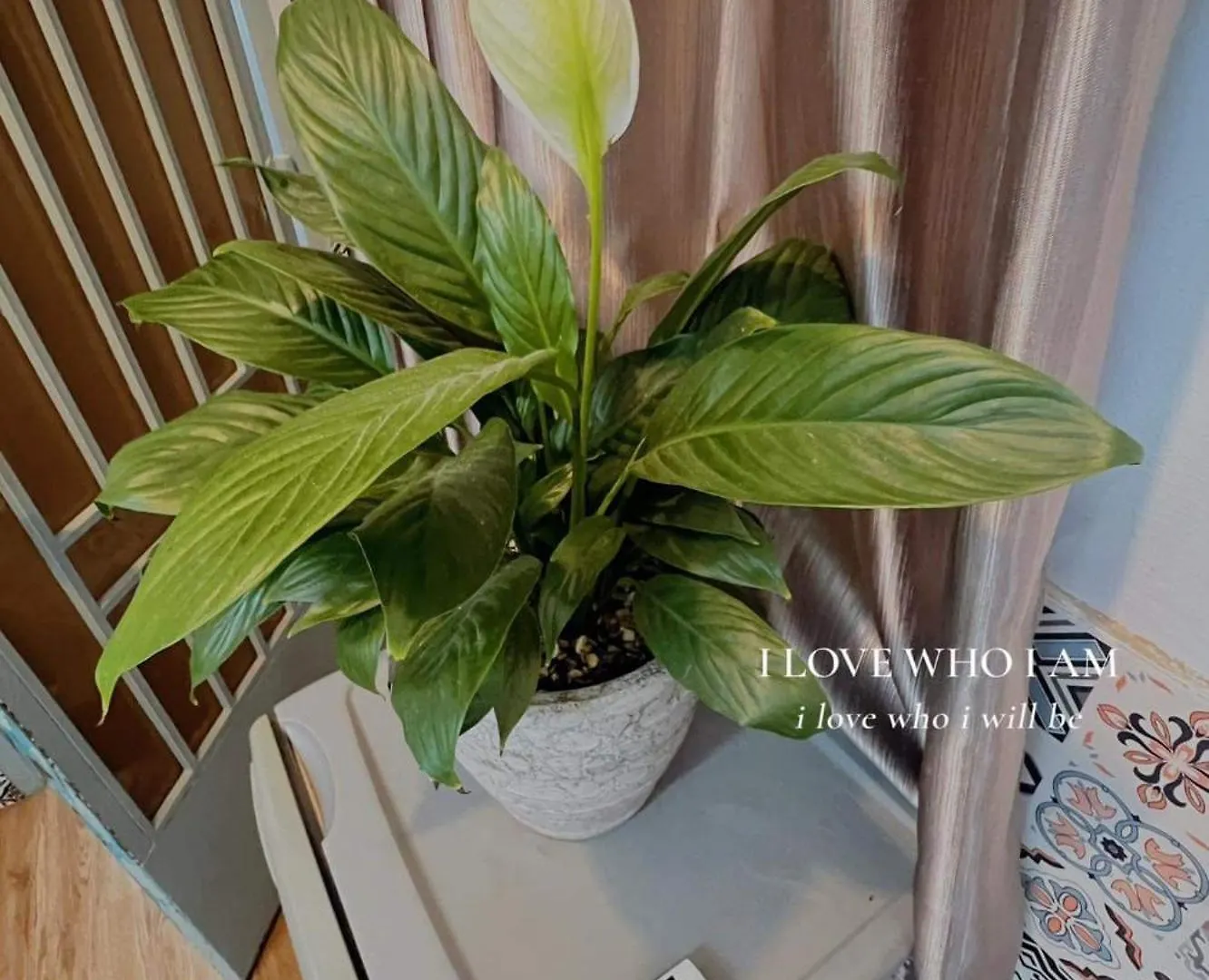 Owen House Apartment Ho Chi Minh City Vietnam